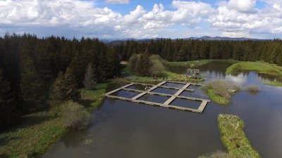 L'Étang des Barthes