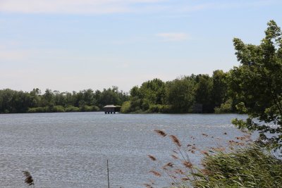 Observatoires de l'Etang Chapelier