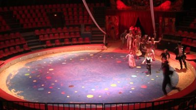 Une journée au cirque