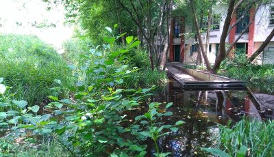 Jardin naturel  Pierre Emmanuel
