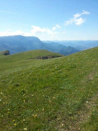 La Chapelle en Vercors, village botanique : les vivaces de montagne