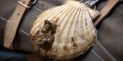 médiathèque Emile Déribier