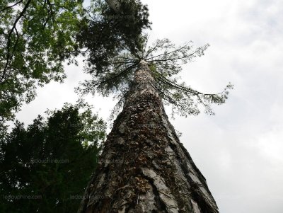 Parc de la Murgière à Massieu
