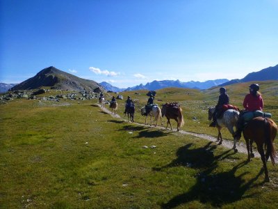 Centre équestre Crinières aux vents