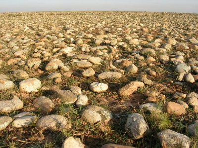 Écomusée de la Crau