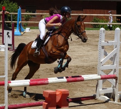 Club Hippique de Taravas