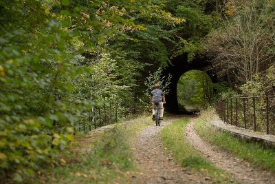 Circuit VAE : La Dolce Via