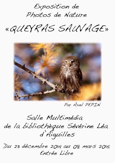 Bibliothèque Séverine Léa