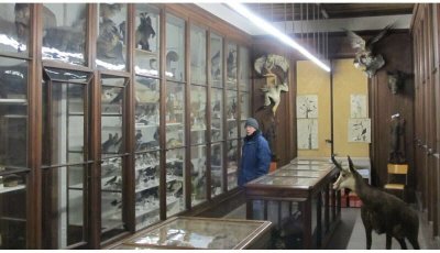 Museum d'Histoire Naturelle