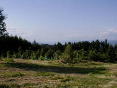 Arboretum de Charvols