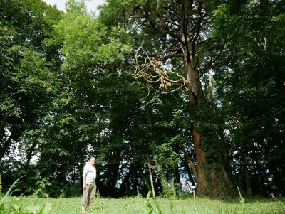 Sentier botanique du parc de la Murgière