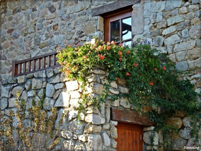 Exposition des traditions vivaroises