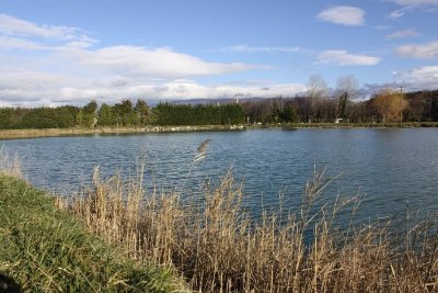 Geocaching - L'eau à Grillon