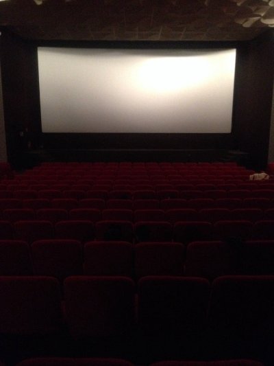 Cinéma Le Danay