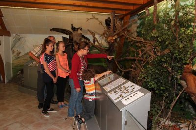 Le refuge des animaux