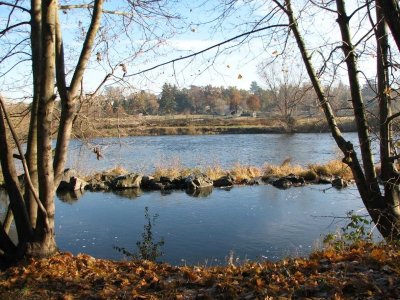 St-Cyprien - Gour des Véroniques - à la découverte des bords de Loire