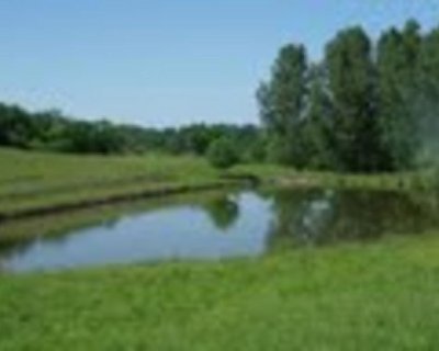 Les gouttes noires - PR n°52