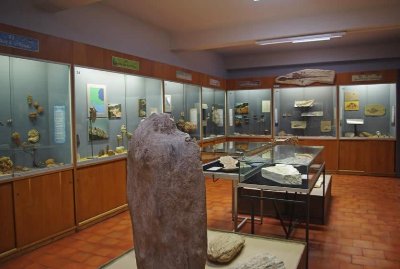 Museum Requien - Musée d'Histoire Naturelle