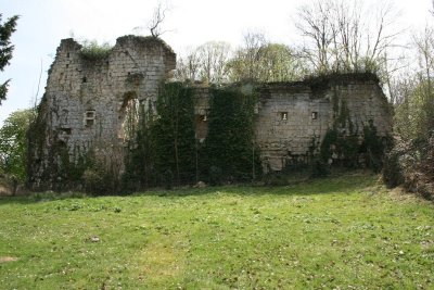 Vestiges du château de la folie