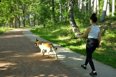 Jardin des platanes et bois de Grouchy