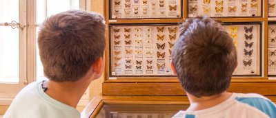 Musée d'histoire naturelle Philadelphe Thomas