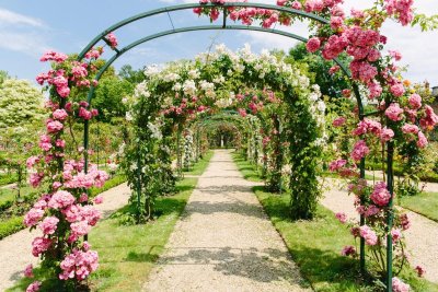 Le parc de la Roseraie