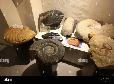 Musée du Garde-champêtre