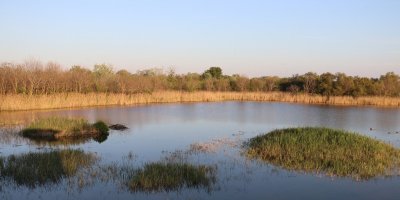 Sentier des rainettes à la Capelière