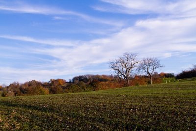 La Jonchère - PR n°62