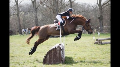 Mini-Golf - Le Mambo