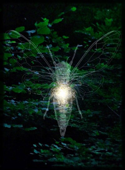 A la recherche du temps passé