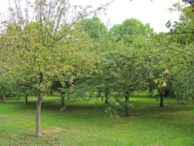 Parc du Château de Dormans