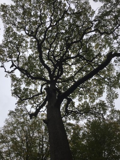 Coteaux historiques de Champagne