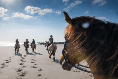 Espace Equestre Henson-Marquenterre
