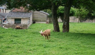Centre Permanent d'Initiatives pour l'Environnement des Pays de l'Aisne