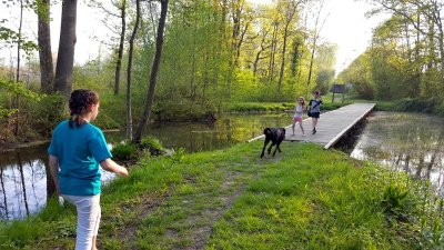 Zone humide du Val de Serre