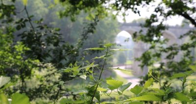 La "falaise" de Tupigny