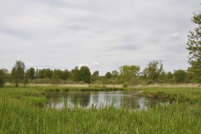 Marais de Tirancourt