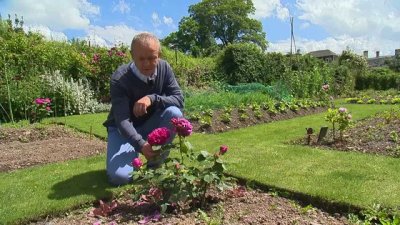 Jardin des Oubliées