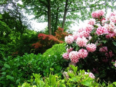 Jardin du Mesnil et Parc Botanique de Bray