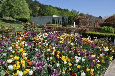 Jardin du musée des impressionnismes Giverny
