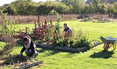 Le potager conservatoire de Beaumesnil