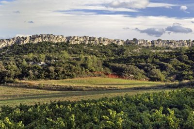 RANDONNÉE LE PUECH DE LA VIGNE NÈGRE