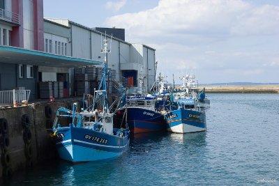 Port de pêche de Douarnenez