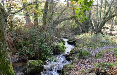 Vallée de Goas Lagorn