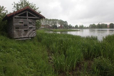Observatoire Ornithologique