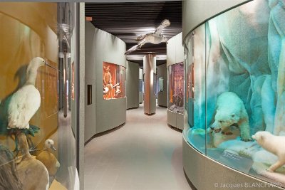 Jardin de l'Arquebuse - Jardin botanique