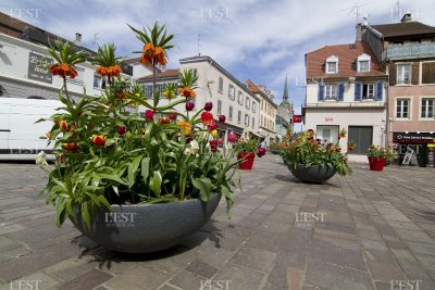 Ville de montbeliard service des sports