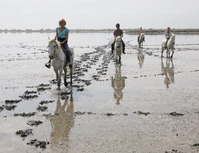 La Laupio du Mas de Frigoulès