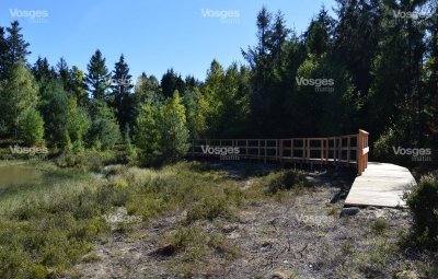 L’étang des Houssots